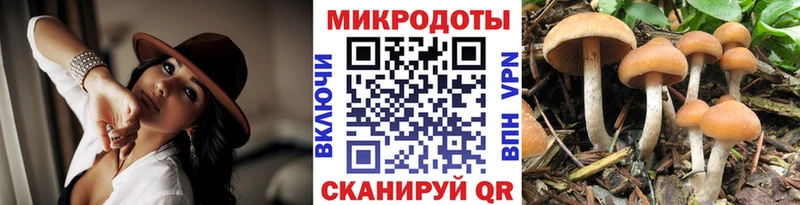 Купить где  Верещагино  Псилоцибиновые грибы ЛСД 